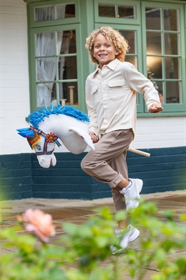 Disney Hobby Horse - Pegasus